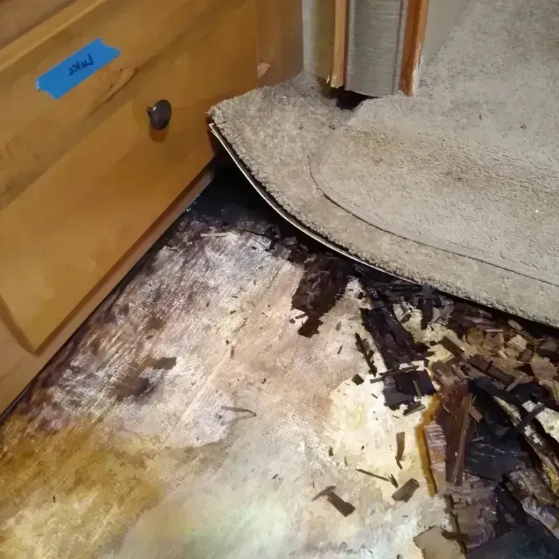 Wood Floor Water Damage in Downers Grove, IL